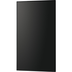 Monitor Profesjonalny PNHW861